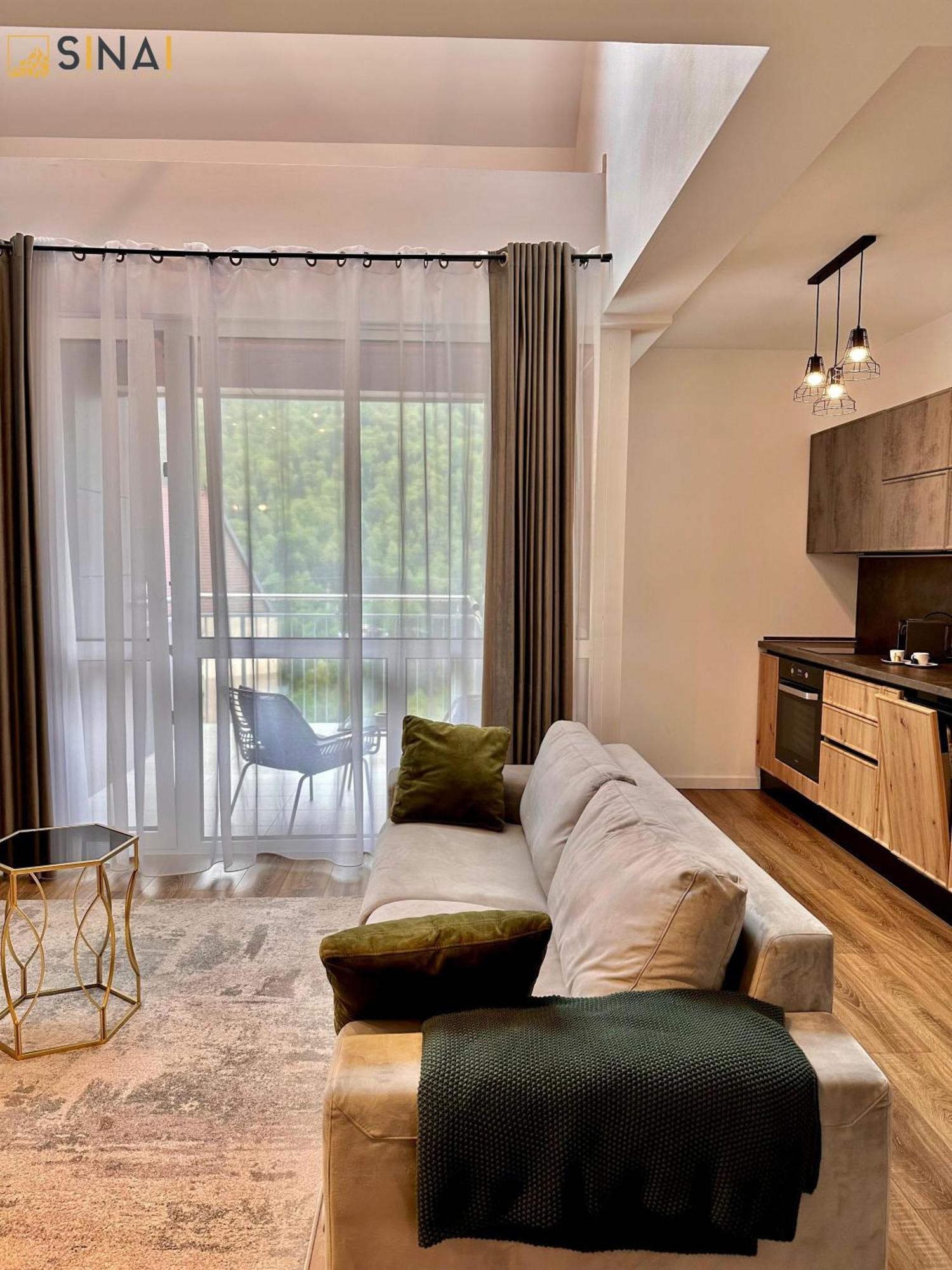 Sinai Aph Apartments Sinaia Exterior photo